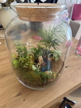 DIY Terrarium Kit with Ocean Disk H: 32 cm | 'Costa Rica'