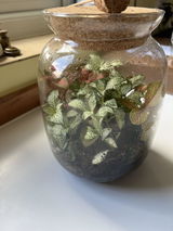 Glass Container with Defects