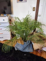 Etsy customer review photo