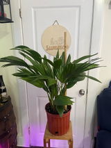 Etsy customer review photo