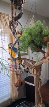 Etsy customer review photo