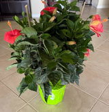 Etsy customer review photo