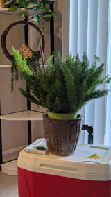 Etsy customer review photo