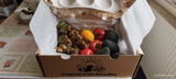 Carmeluta Bardea review photo