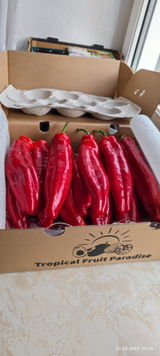 Carmeluta Bardea review photo