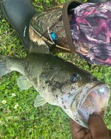 Gee the angler review photo