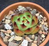 Dwayne Fleita review photo