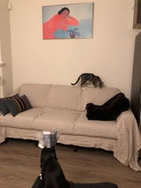 Tiara review photo