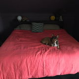Roselyn review photo