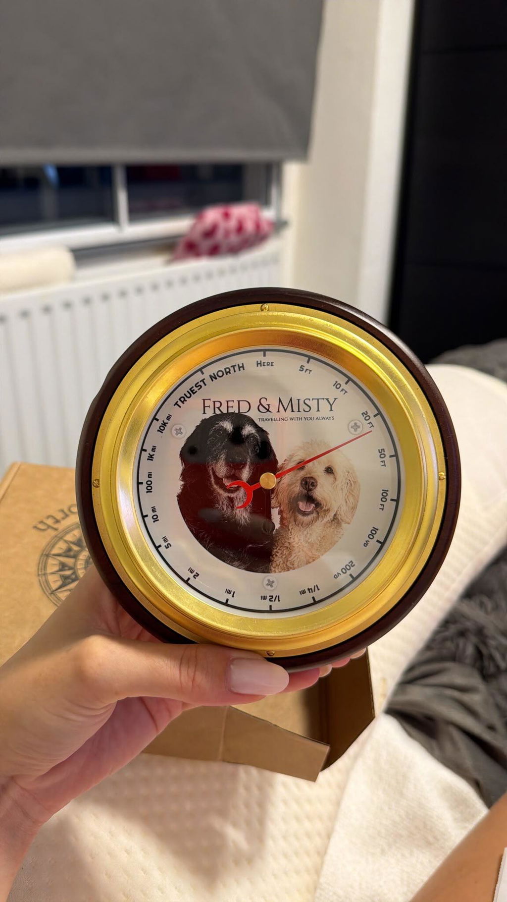 Truest North Compass
