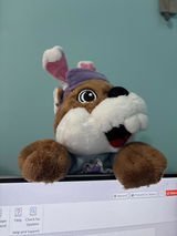 Rachel M. review photo