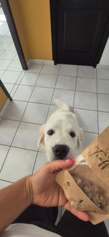 TRUFFE DÉLICE