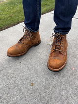 Cesar review photo