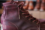 CE review photo