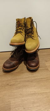 Victor Volpi review photo