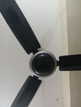 Trutrl fan review photo