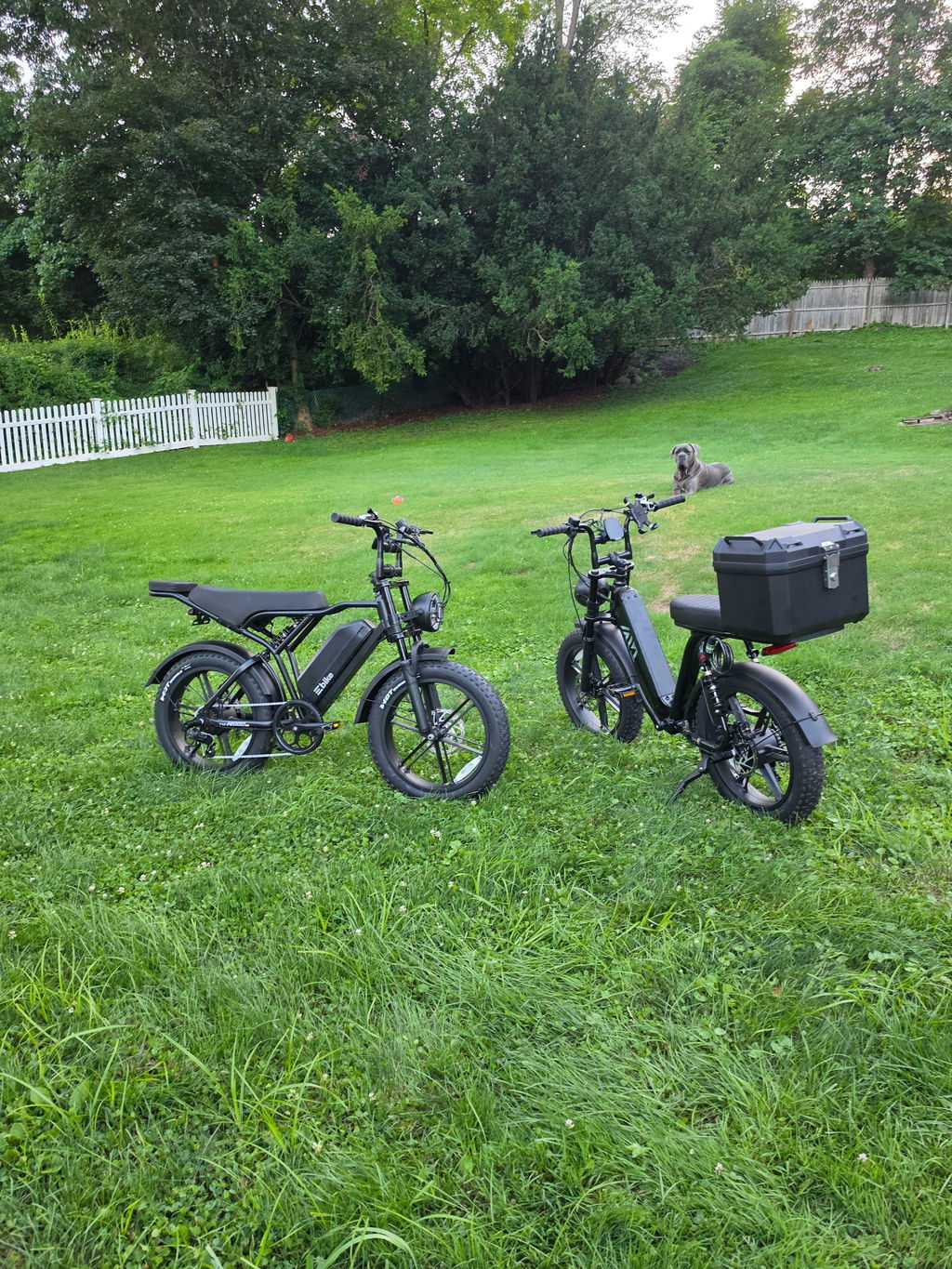 TST® R7 Moped Style 1500W Full Suspension Electric Cargo Bike | 2026 New Model
