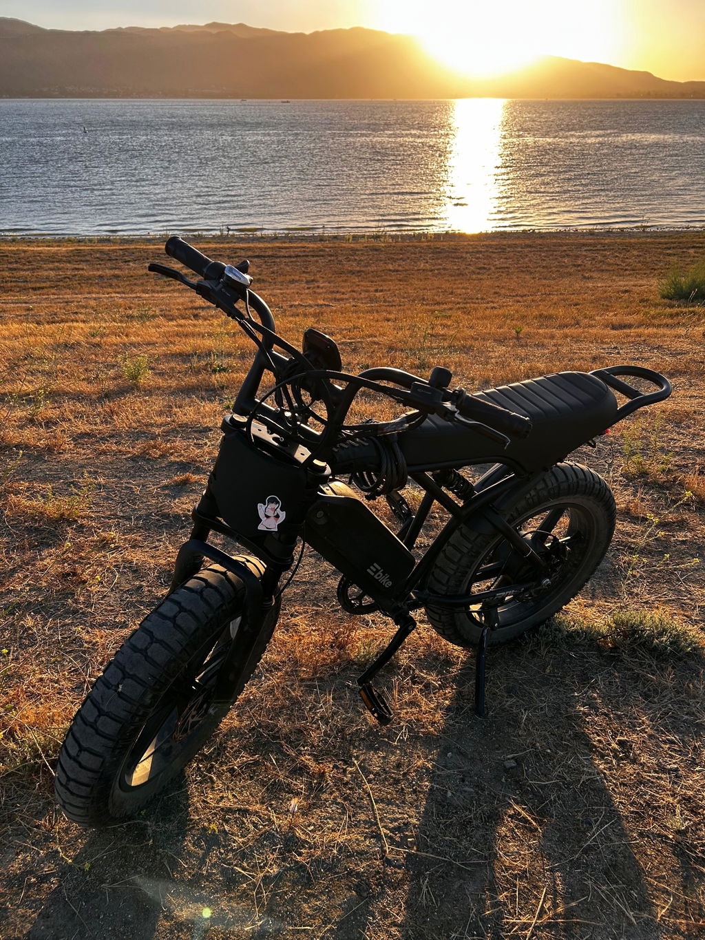 TST Ebike