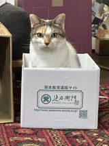 まなぶ review photo