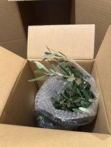 ベランダガーデナー review photo