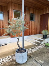 Alfarowana review photo