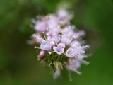 AndrewE review photo