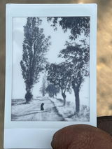 HansHolt review photo