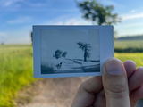 HansHolt review photo