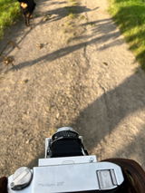 HansHolt review photo