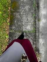 Nur Farzana review photo