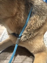 Tucker review photo