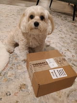 Evelyn S. review photo