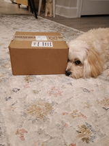 Evelyn S. review photo