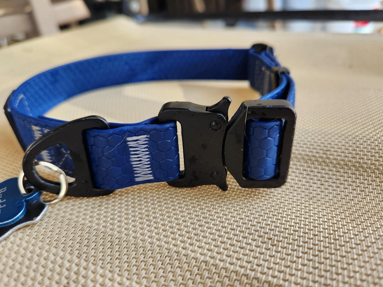 Dan review photo