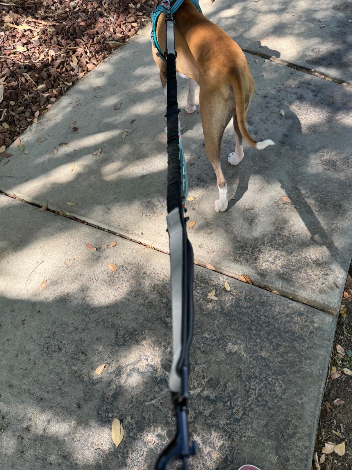 ELLC review photo