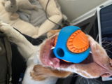 Anonymous review photo