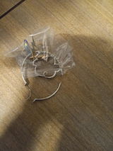 Echo M. review photo