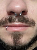 Ray Silverman review photo