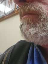 Paulie review photo