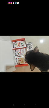 Richa R review photo
