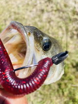 Santiago Rosado review photo
