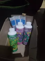 T***d review photo