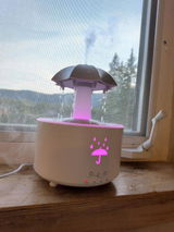 Fanni review photo