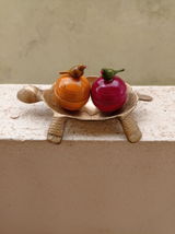 Bina Manoli review photo