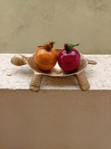 Bina Manoli review photo