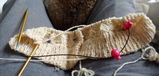 Judy Wood review photo