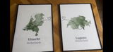 Two City Poster Set