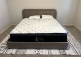 Staucia Woody review photo