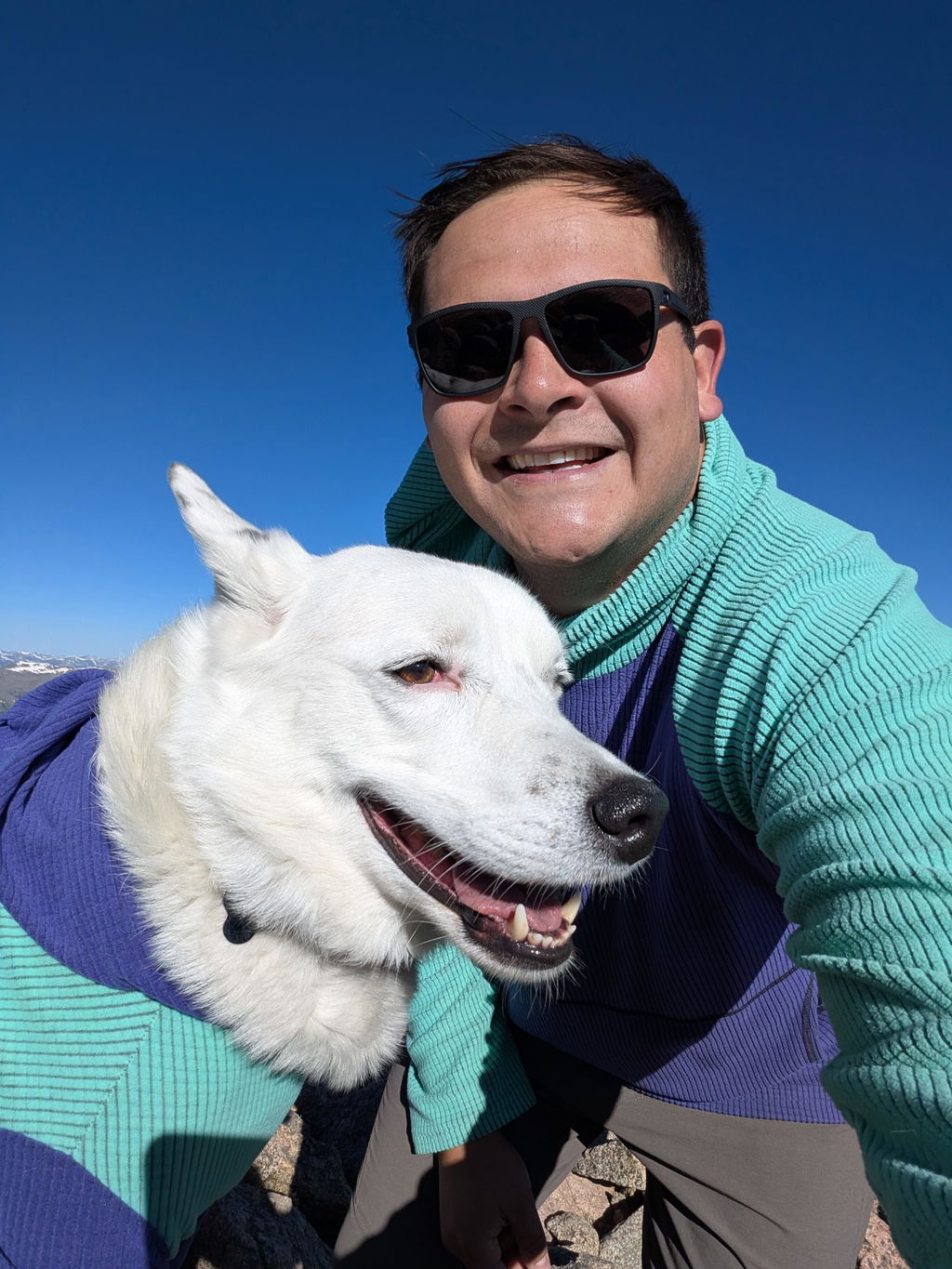 Lagoon with grape hood and sleeves-Dog Hoodie