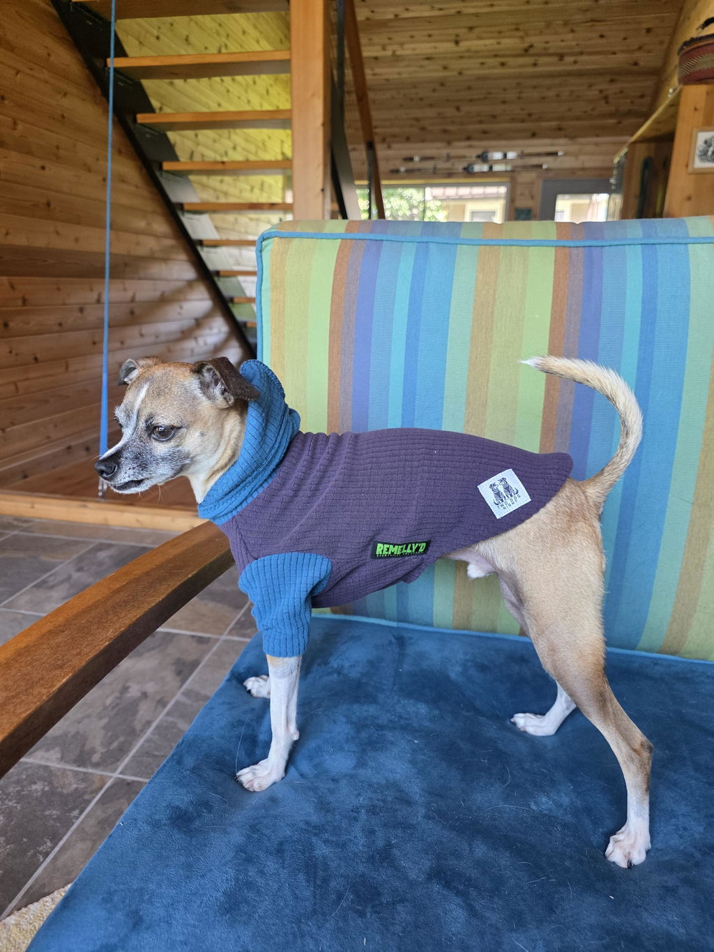 Dusk(pale lavender)body with rain hood and sleeves-Dog Hoodie